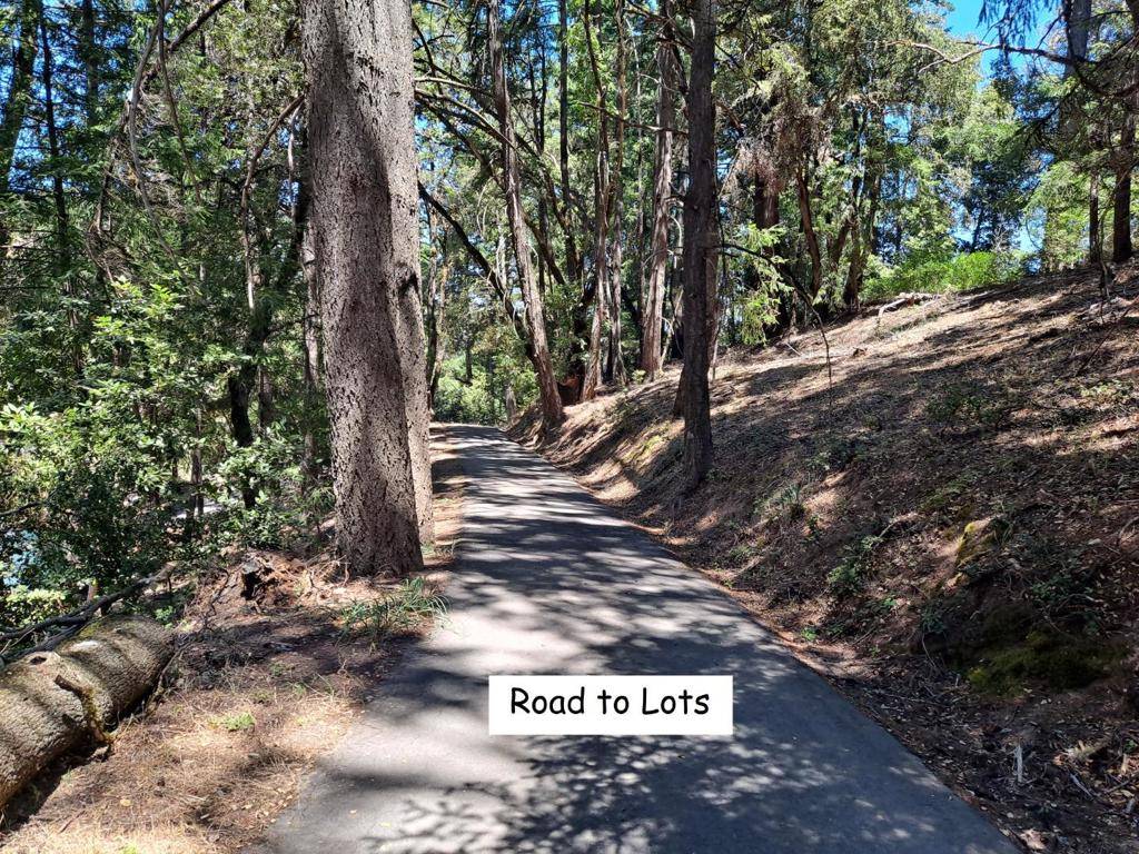 Los Gatos, CA 95033,12500 Fox RUN