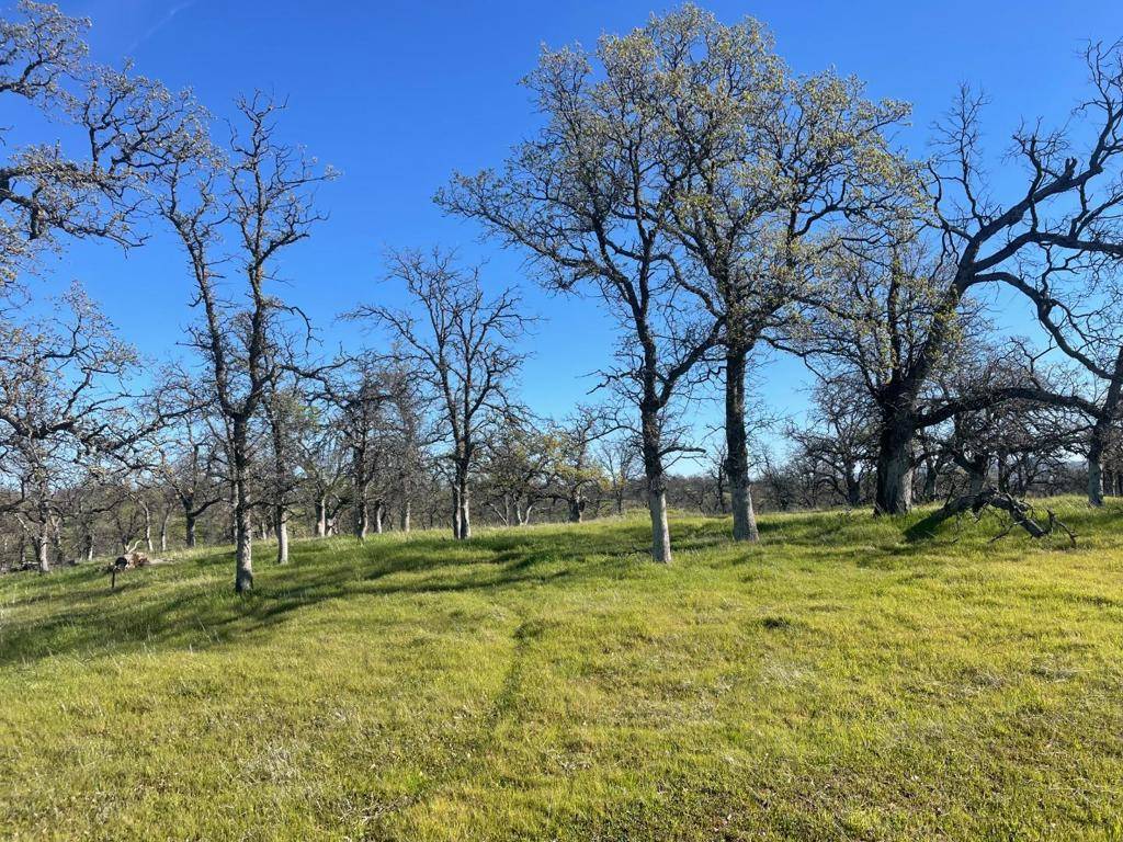 Red Bluff, CA 96080,108 Lot 8 of Tract No.91-1002 LN