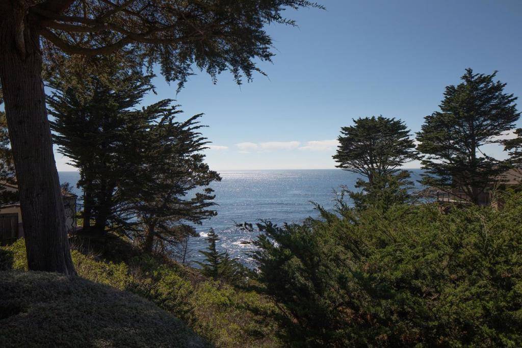 Carmel Highlands, CA 93923,50 Yankee Point DR