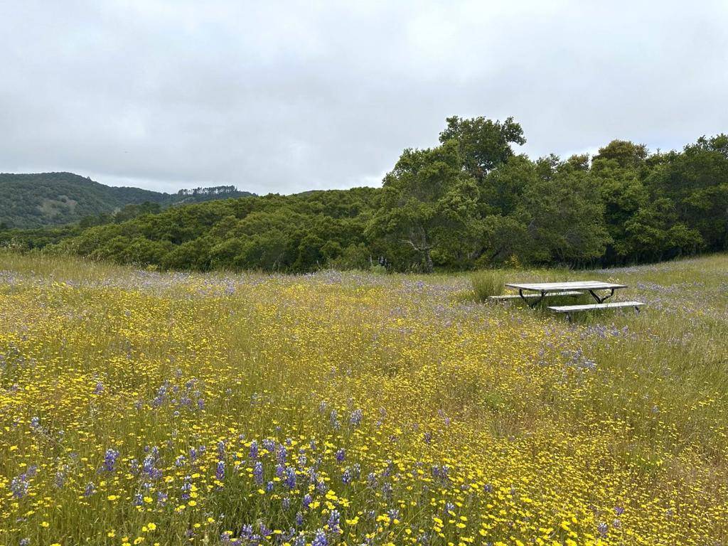 Carmel, CA 93923,8 Corral RUN
