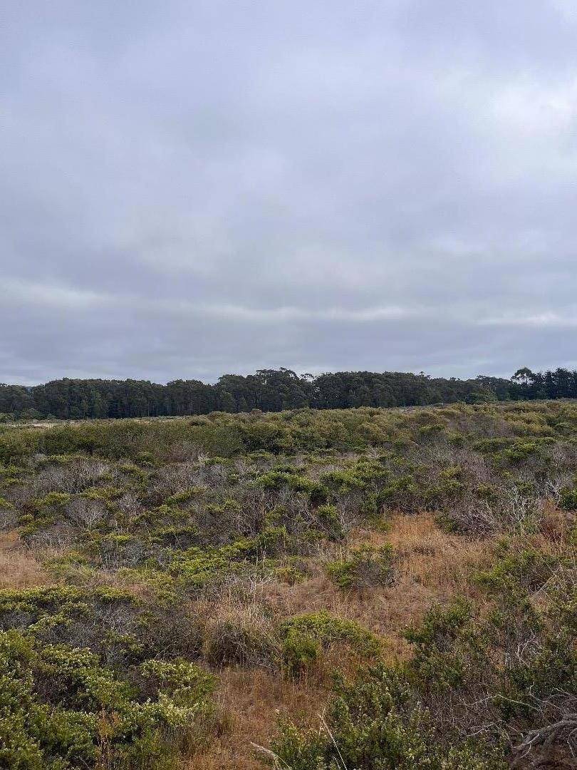 Half Moon Bay, CA 94019,100 Park AVE