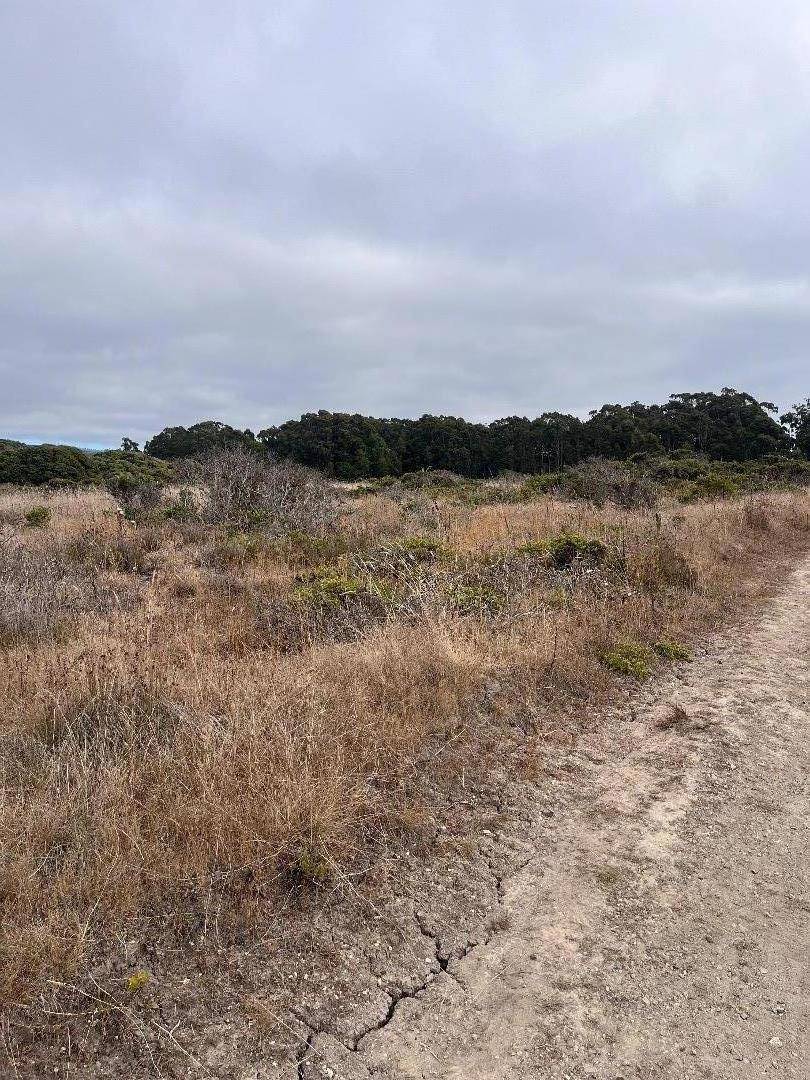 Half Moon Bay, CA 94019,110 Park AVE