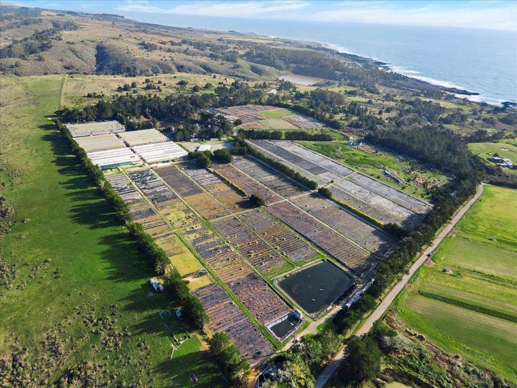 Pescadero, CA 94060,1000 Bean Hollow RD