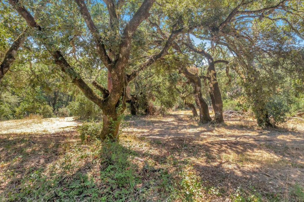 Woodside, CA 94062,250 Heacox RD