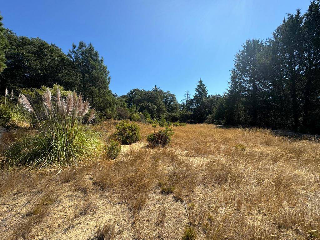 Santa Cruz, CA 95060,0 ALTA VISTA RD