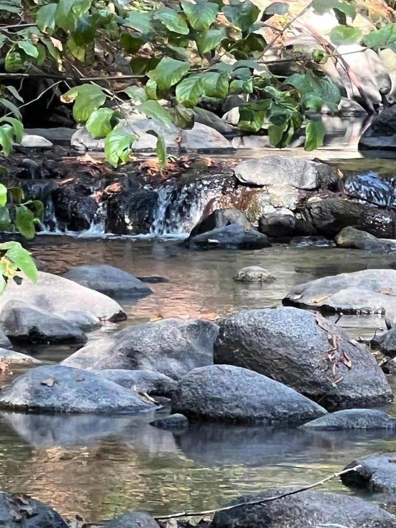 Boulder Creek, CA 95006,14515 Big Basin HWY