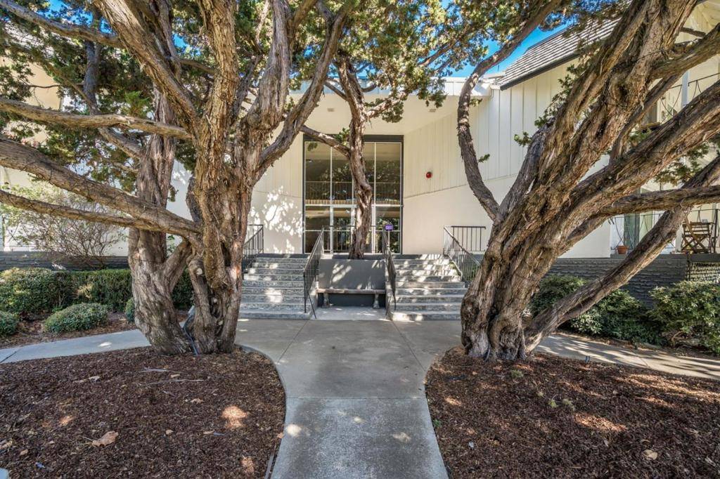 Menlo Park, CA 94025,21 Willow RD #33