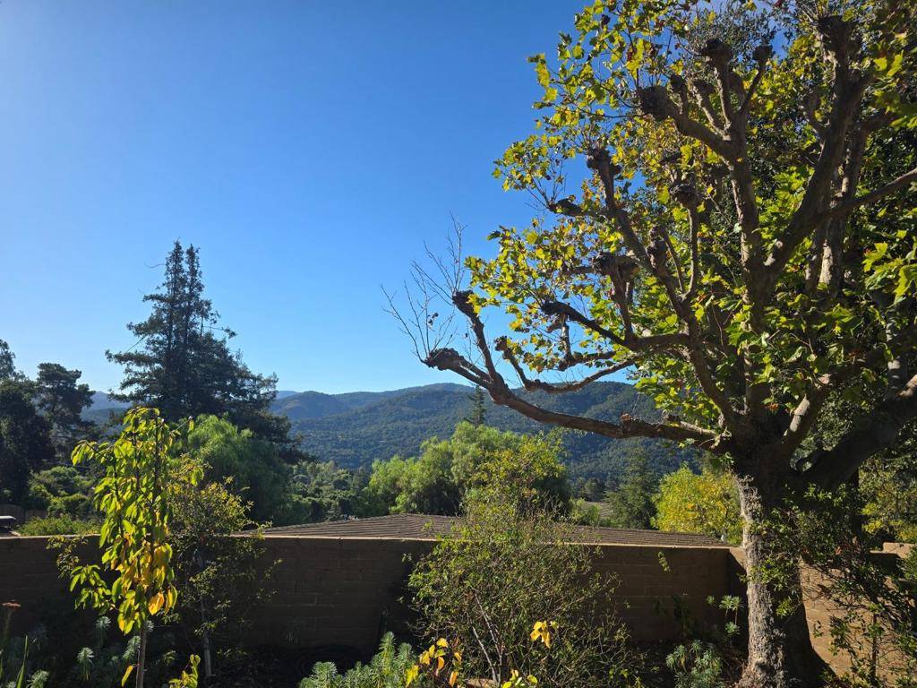 Carmel Valley, CA 93924,9 STORY ROAD