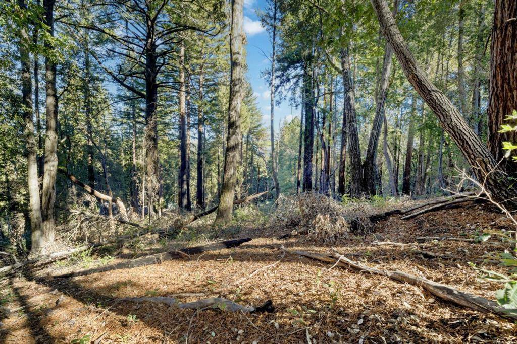 Brookdale, CA 95007,0 Western