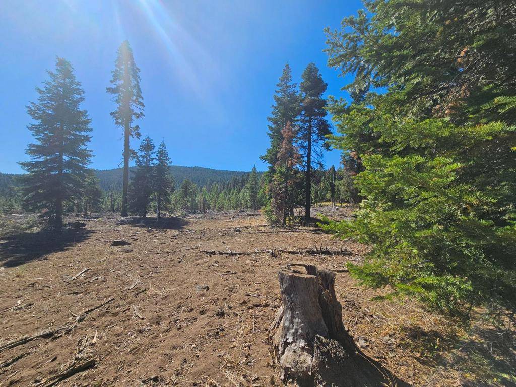 Alturas, CA 96101,0 Prospect RD