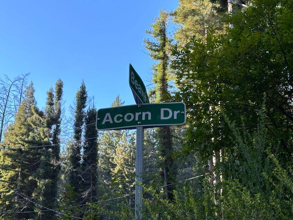 Boulder Creek, CA 95006,644 Acorn DR