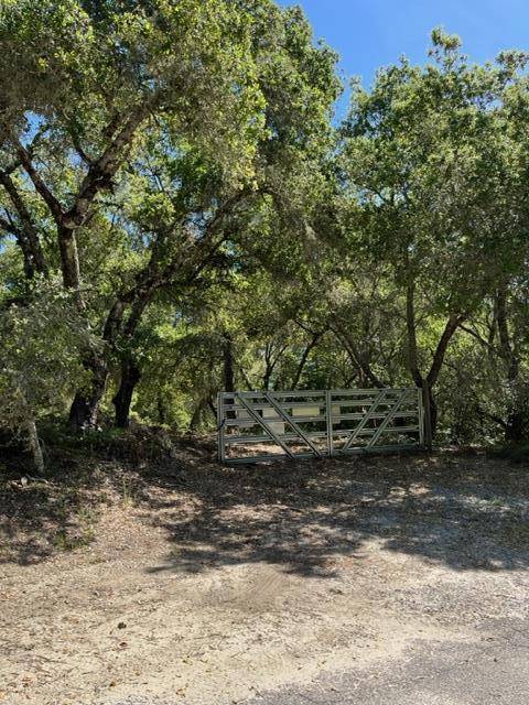 Boulder Creek, CA 95006,225 Santa Cruz ST