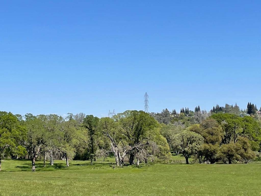 Orangevale, CA 95662,0 Cardwell AVE