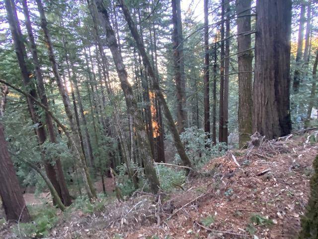 Woodside, CA 94062,0 Swett RD