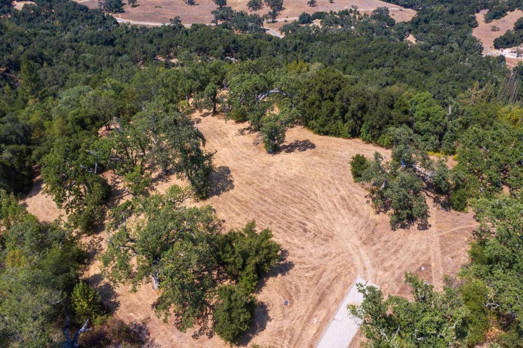 Carmel, CA 93923,39 Arroyo Sequoia