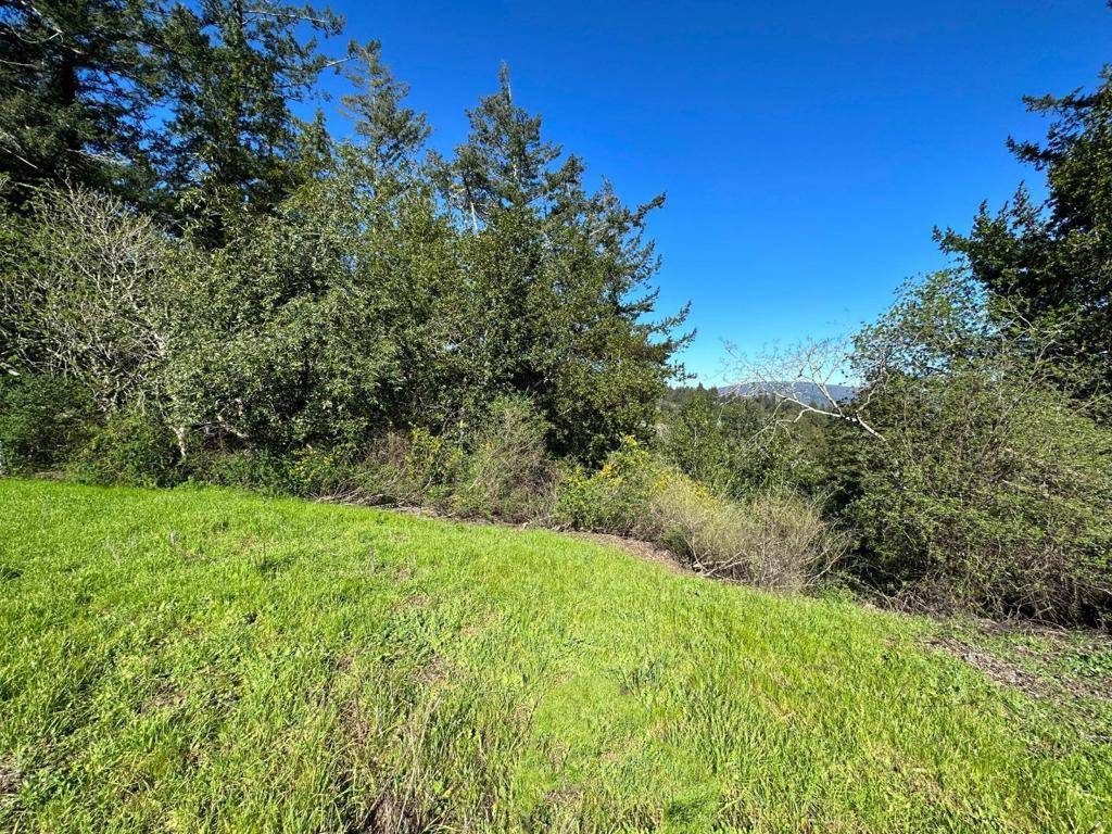 Los Gatos, CA 95033,22065 Old Santa Cruz HWY