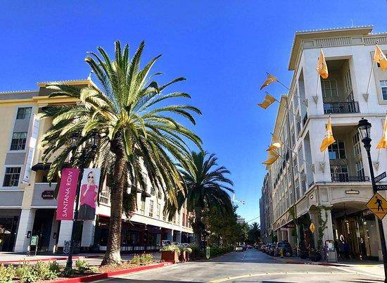 San Jose, CA 95128,333 Santana ROW #239
