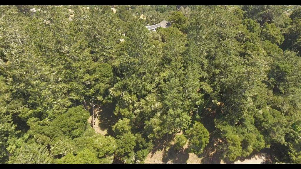 Aptos, CA 95003,0 Burns
