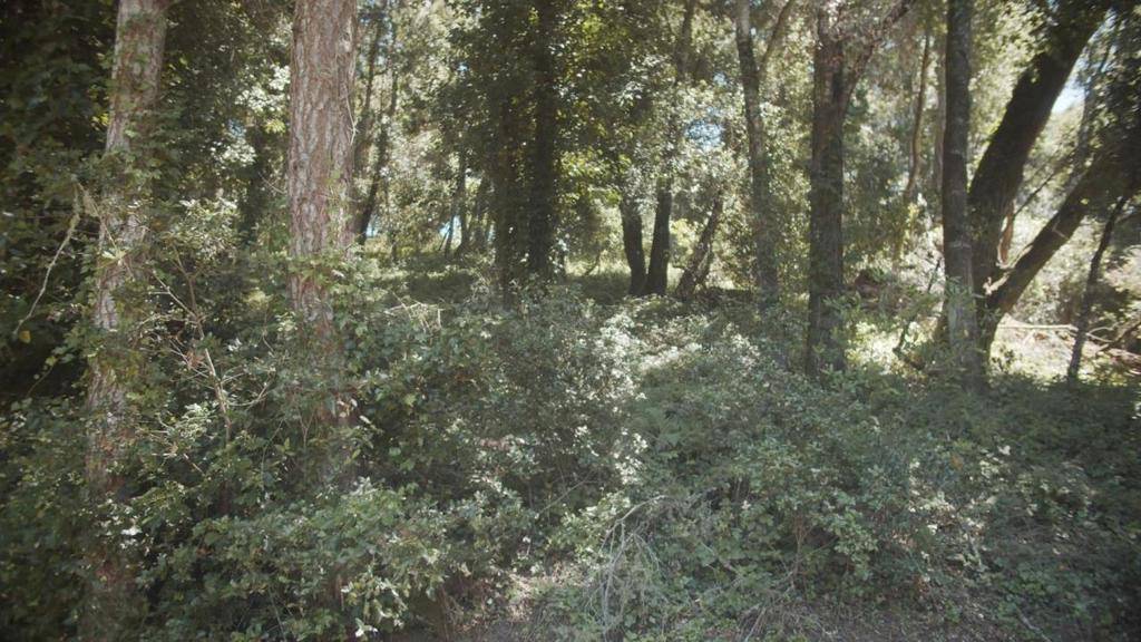 Aptos, CA 95003,0 Burns