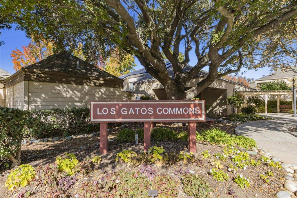 Los Gatos, CA 95032,443 Alberto WAY #115