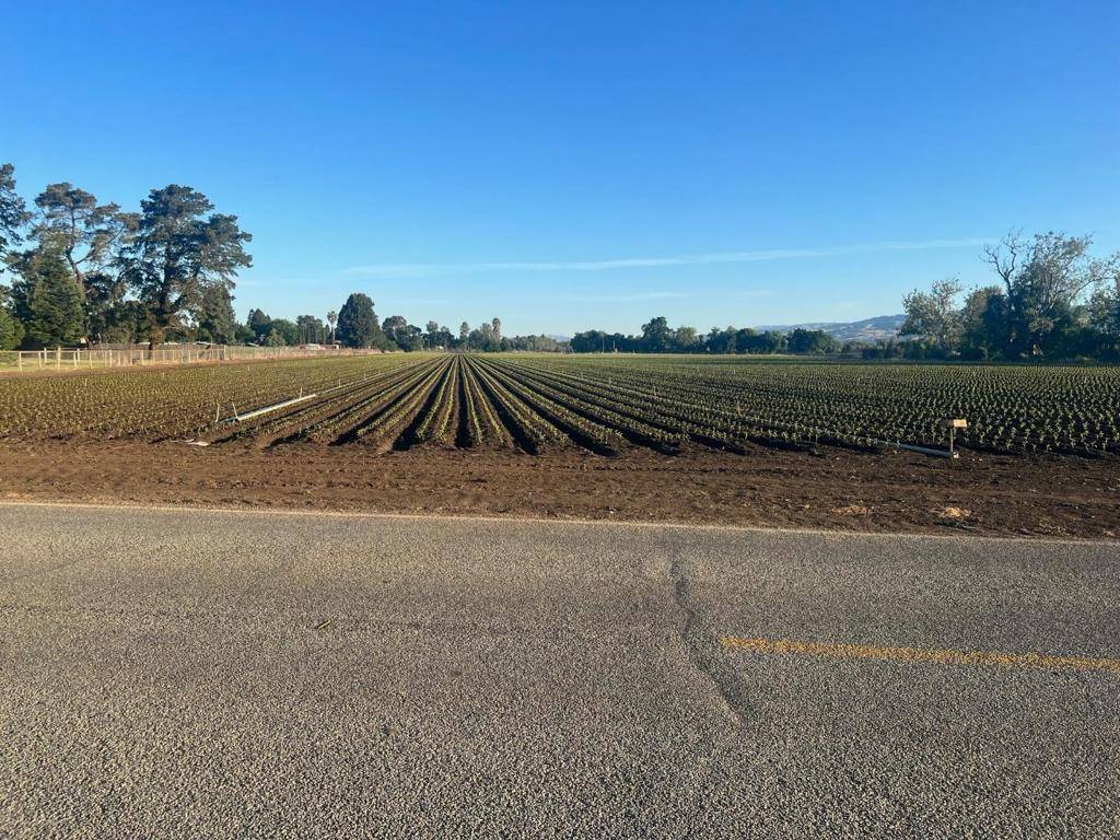 Gilroy, CA 95020,2 Buena vista