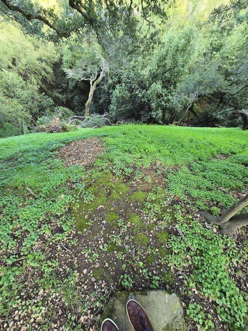 Oakland, CA 94605,0 Mendenhall