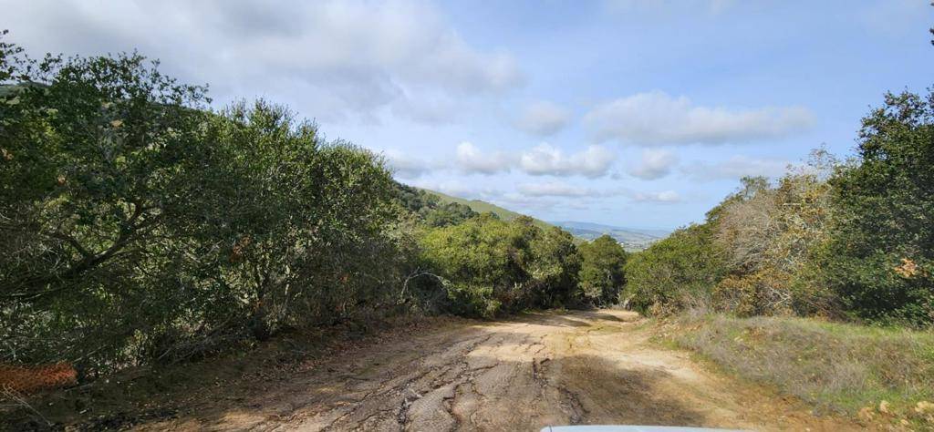 San Juan Bautista, CA 95045,Salinas RD