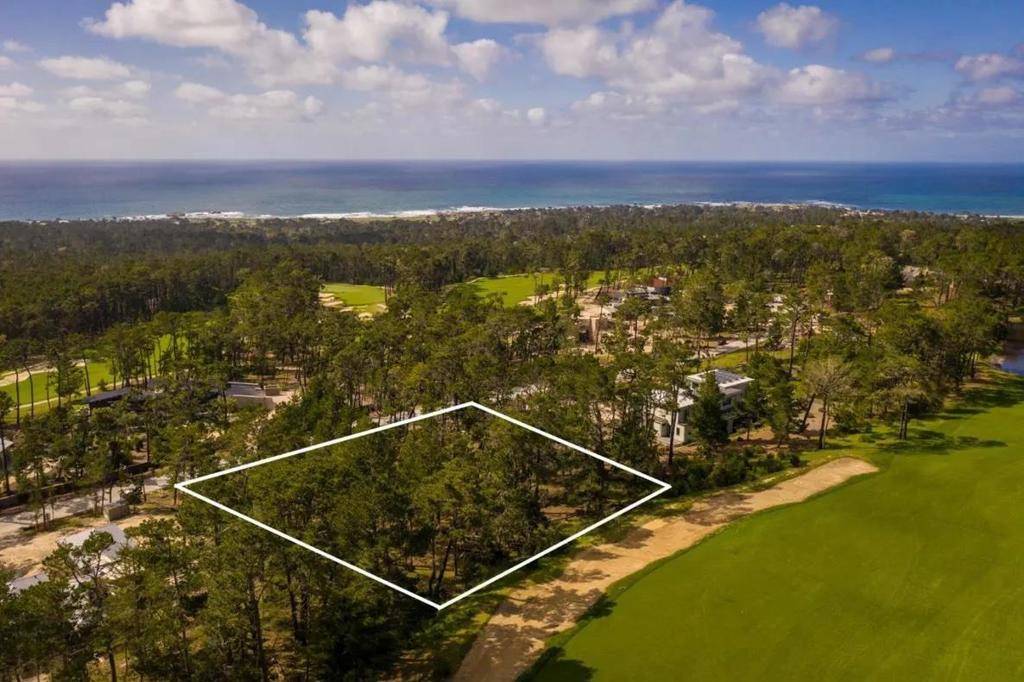 Pebble Beach, CA 93953,25 Poppy LN