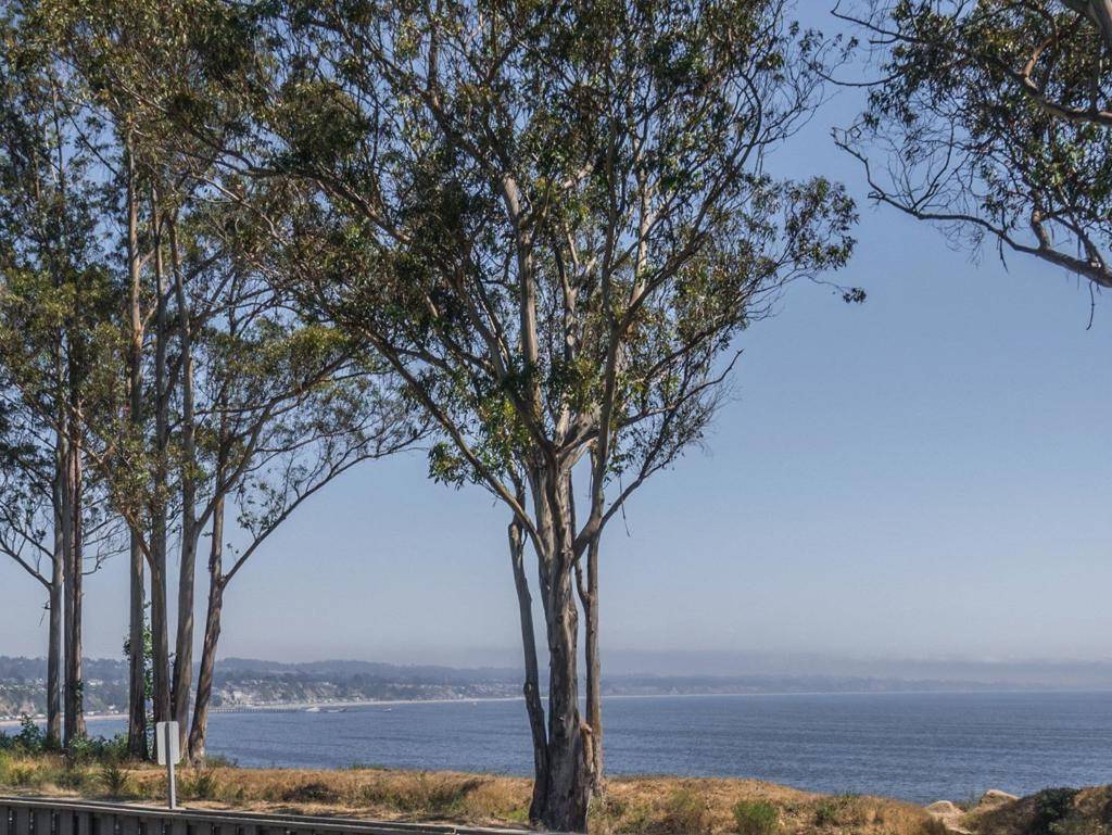 Capitola, CA 95010,815 Balboa AVE #103