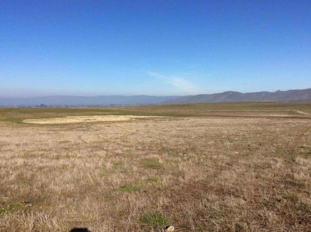 Hollister, CA 95023,0 Coppa CT