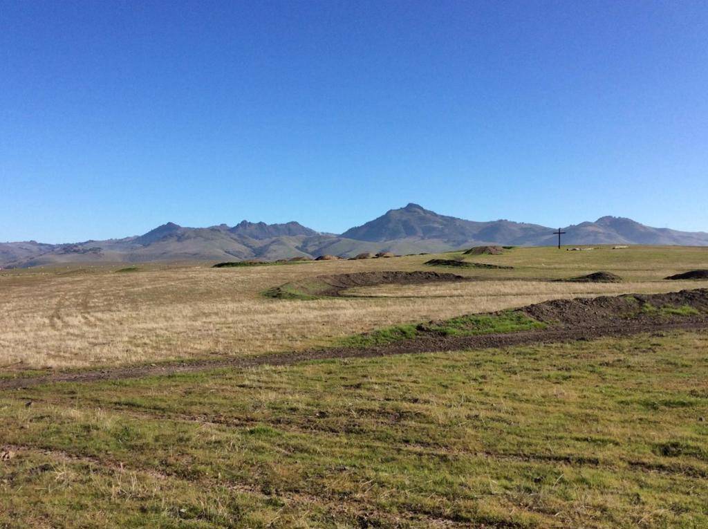 Hollister, CA 95023,0 Coppa CT