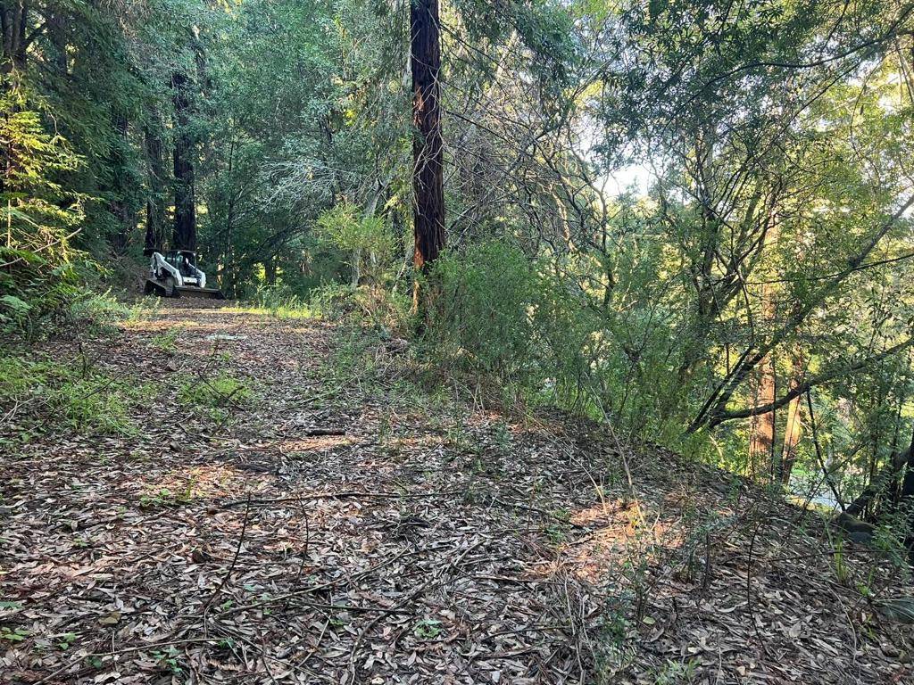 Woodside, CA 94062,559 Patrol RD