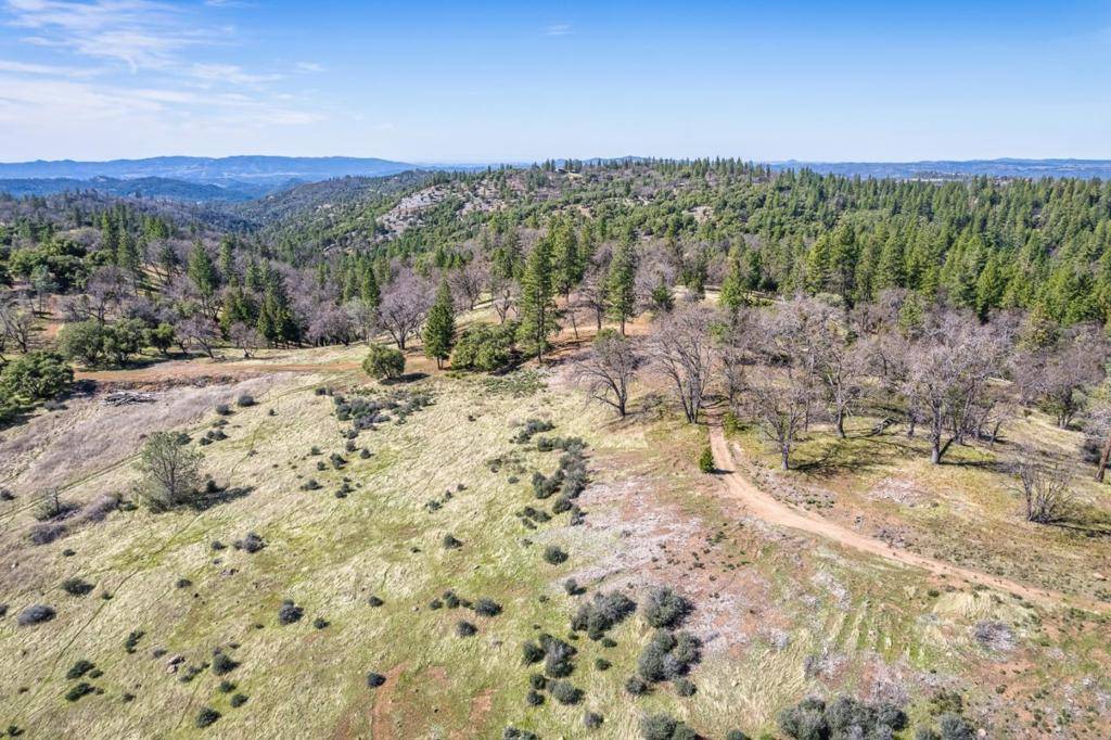 Murphys, CA 95247,0 N Forest