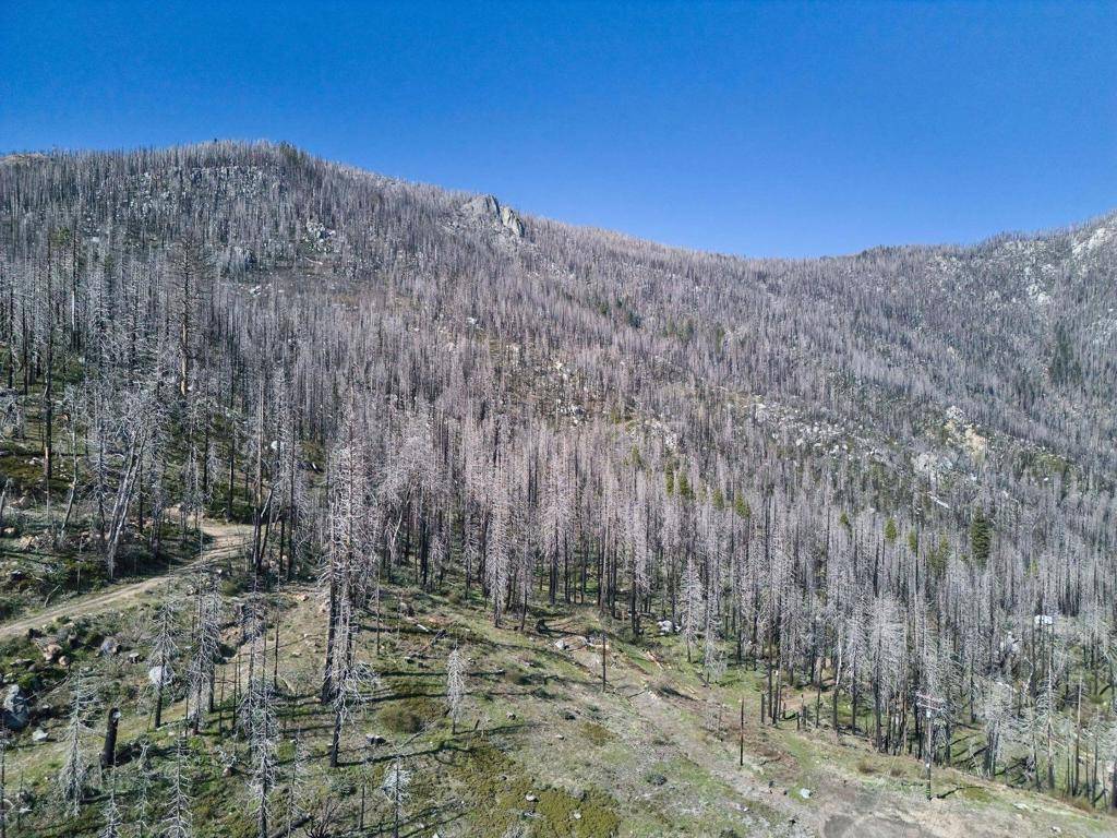 Springville, CA 93265,53022 Pine View DR