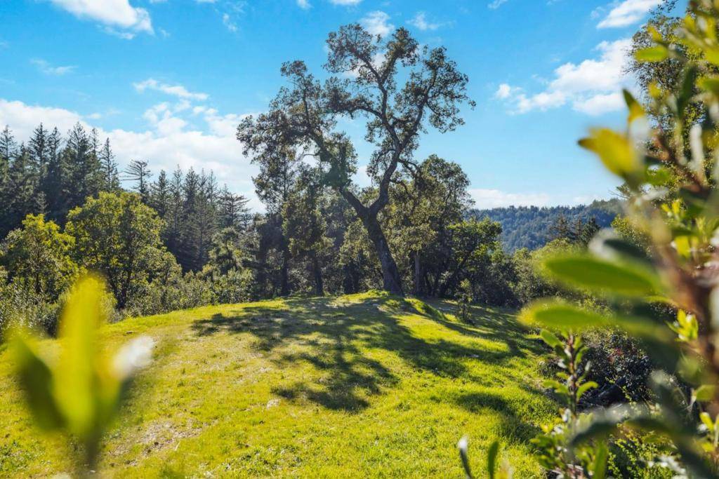 Boulder Creek, CA 95006,0 Hartman Creek