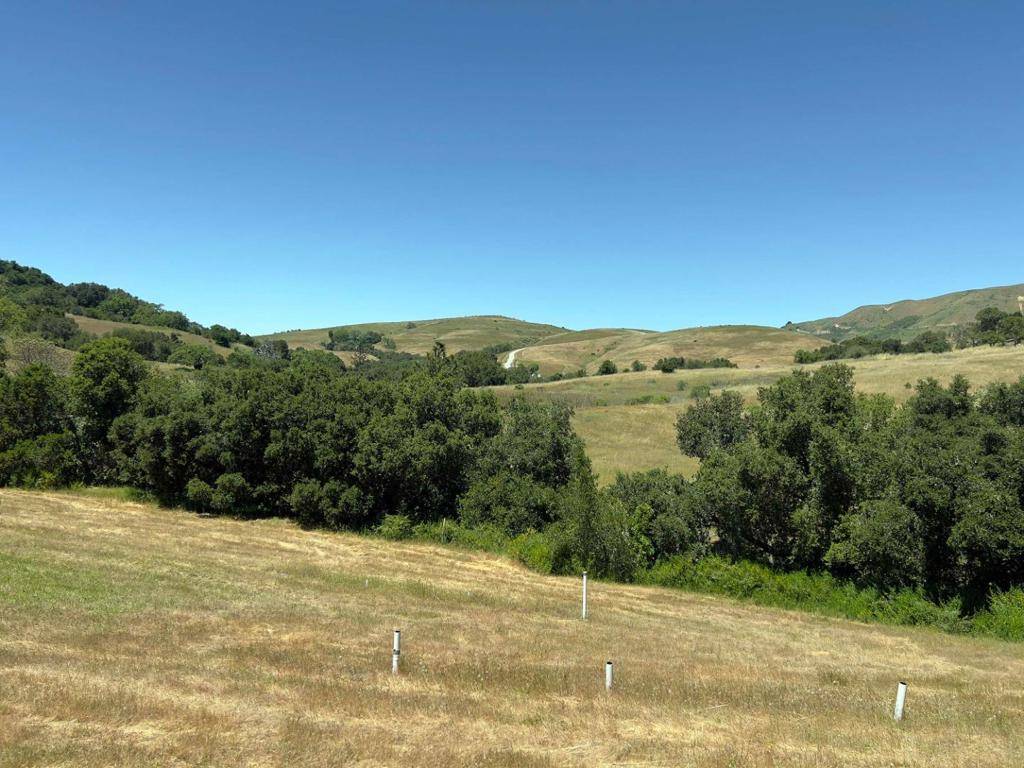 Carmel, CA 93923,3 Ohlone TRCE