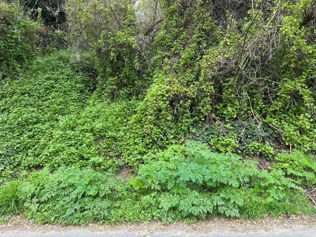 Aptos, CA 95003,0 Encino DR