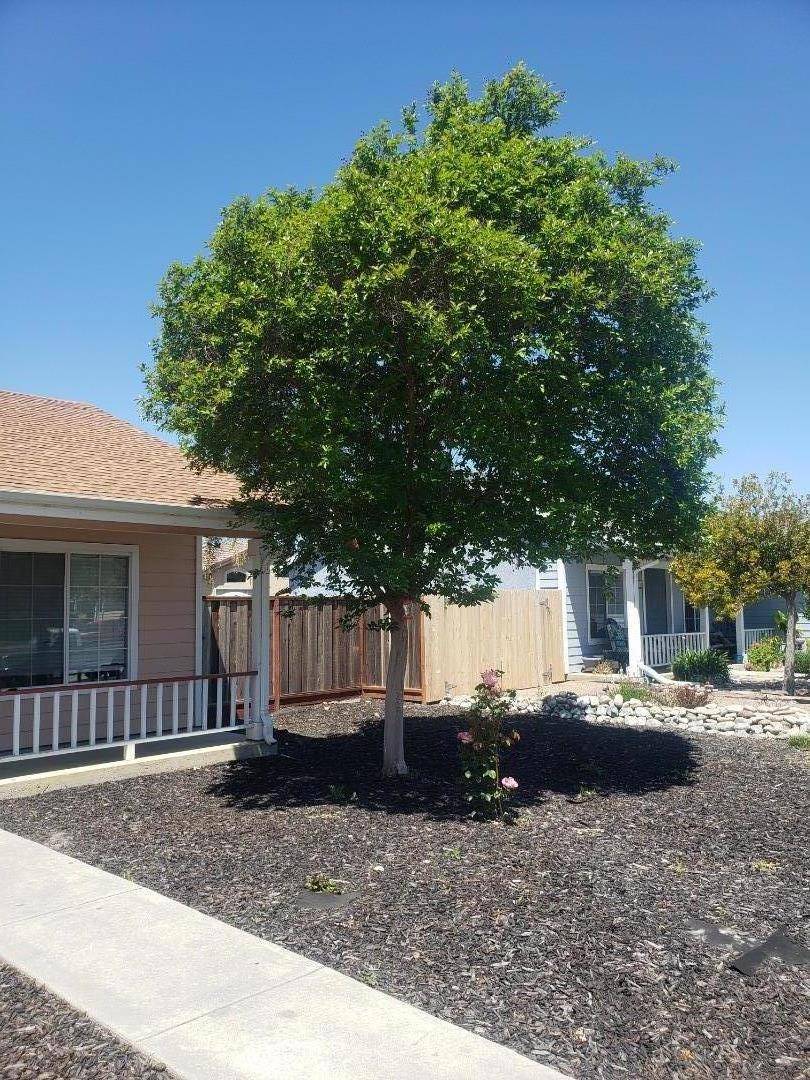 Hollister, CA 95023,2380 Paradise DR