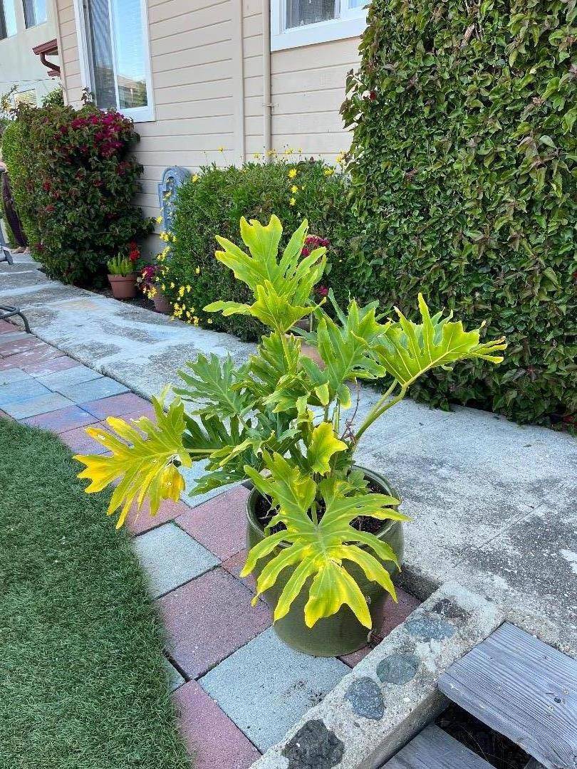 Avila Beach, CA 93424,251 Laurel ST