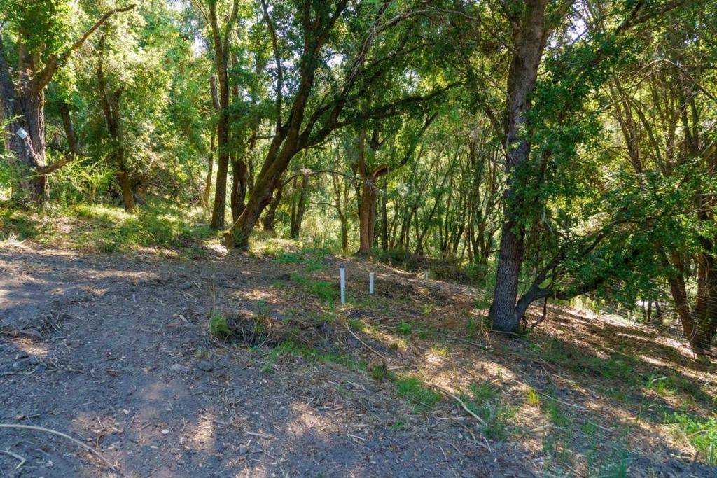 Soquel, CA 95073,0 Olive Springs Rd