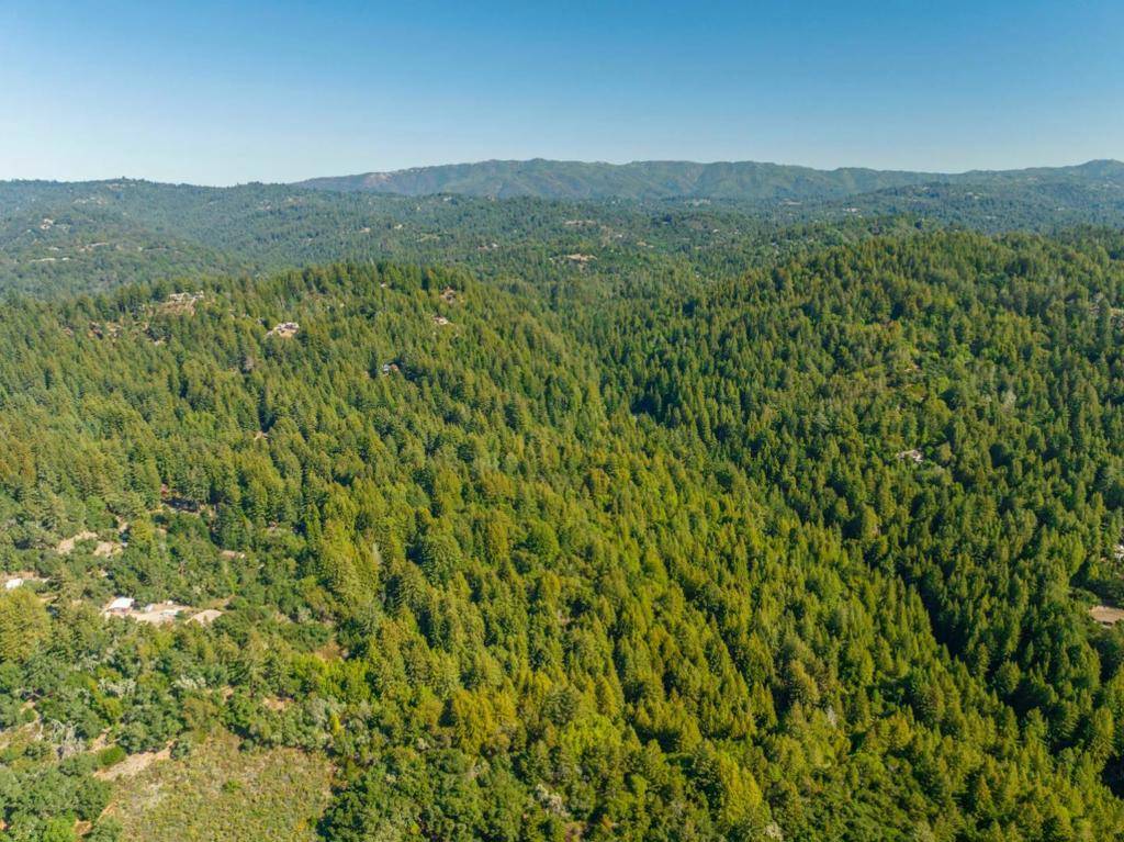 Scotts Valley, CA 95066,2372 Bean Creek