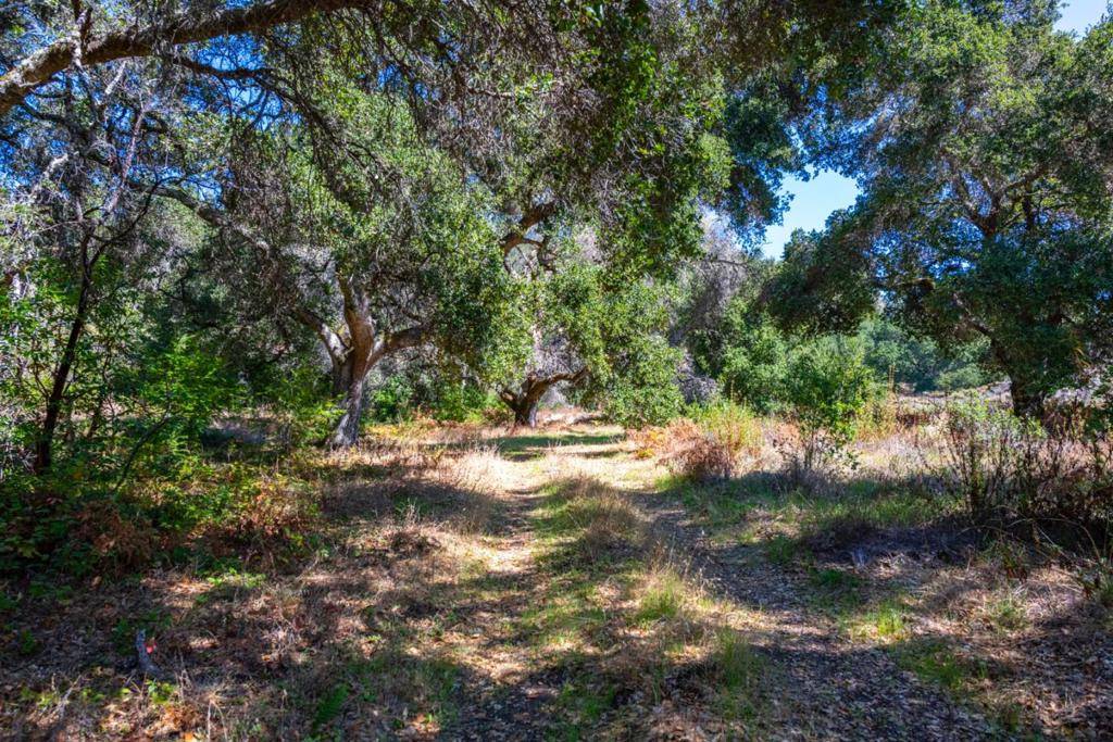 2372 Bean Creek Scotts Valley, CA 95066