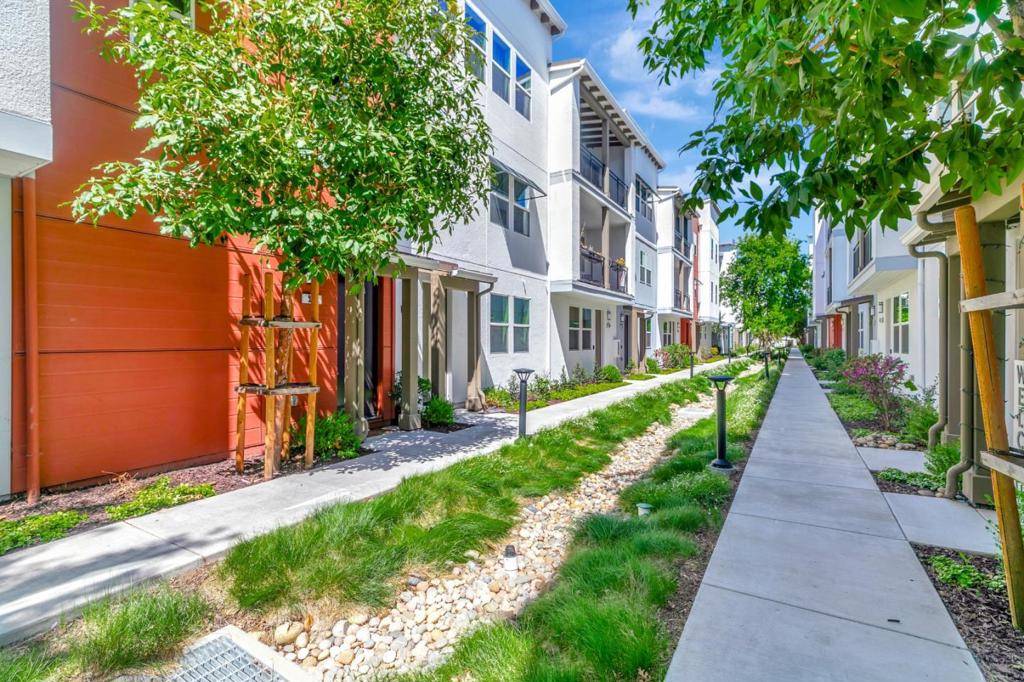 Milpitas, CA 95035,221 Baja Rose ST