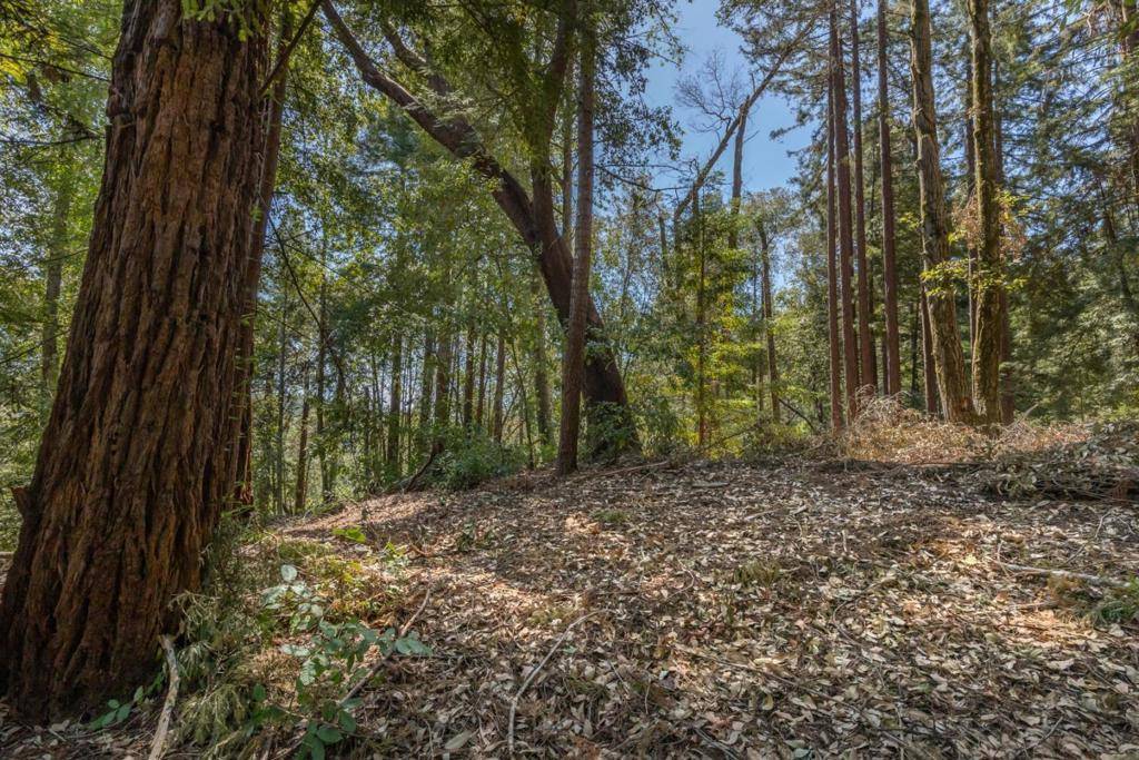Brookdale, CA 95007,333 Western Avenue