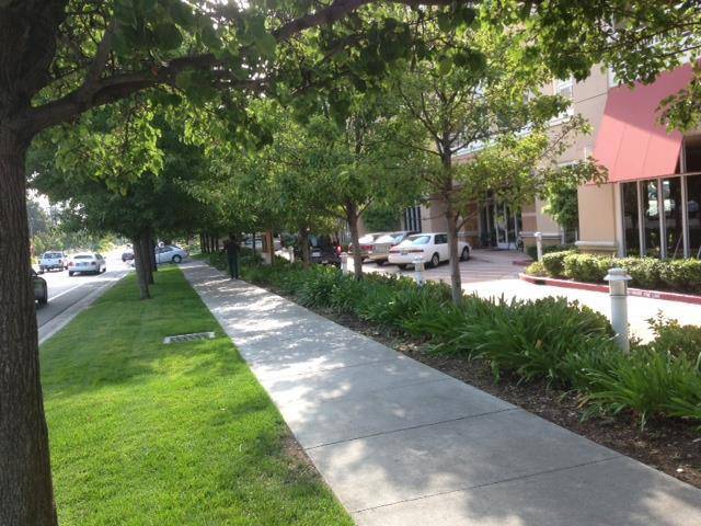 Cupertino, CA 95014,20488 Stevens Creek BLVD #2310