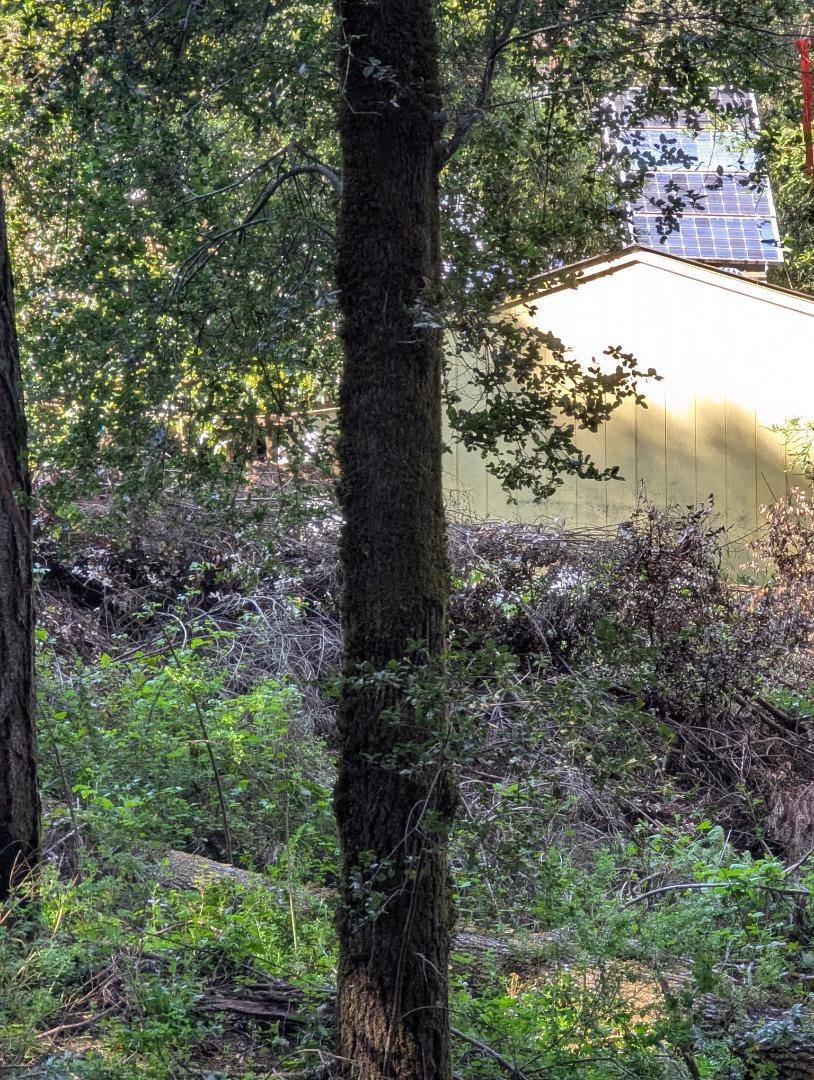 Felton, CA 95018,11259 Fresco ST