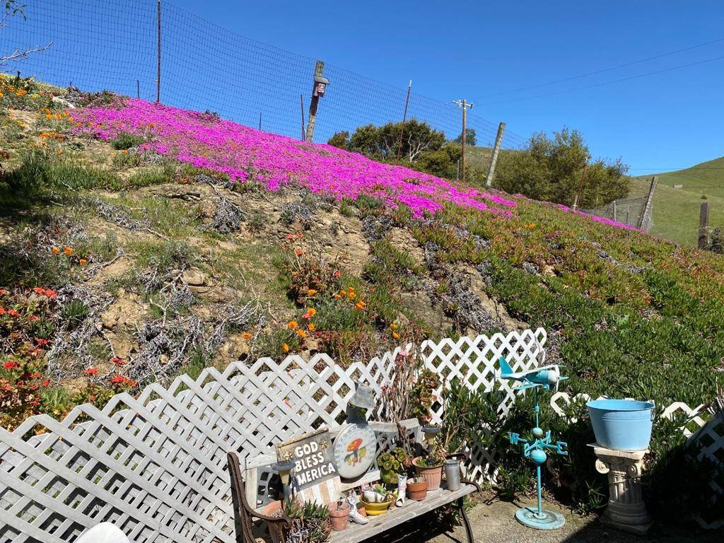 3463 Calaveras RD Milpitas, CA 95035