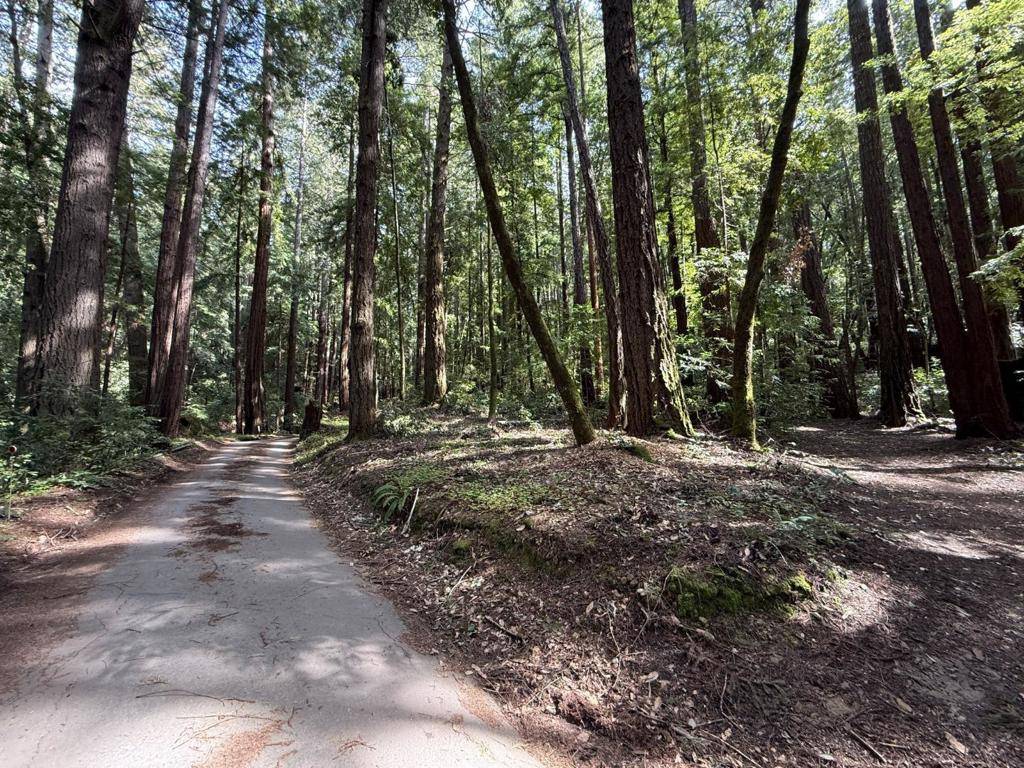 La Honda, CA 94020,0 Slate Creek RD