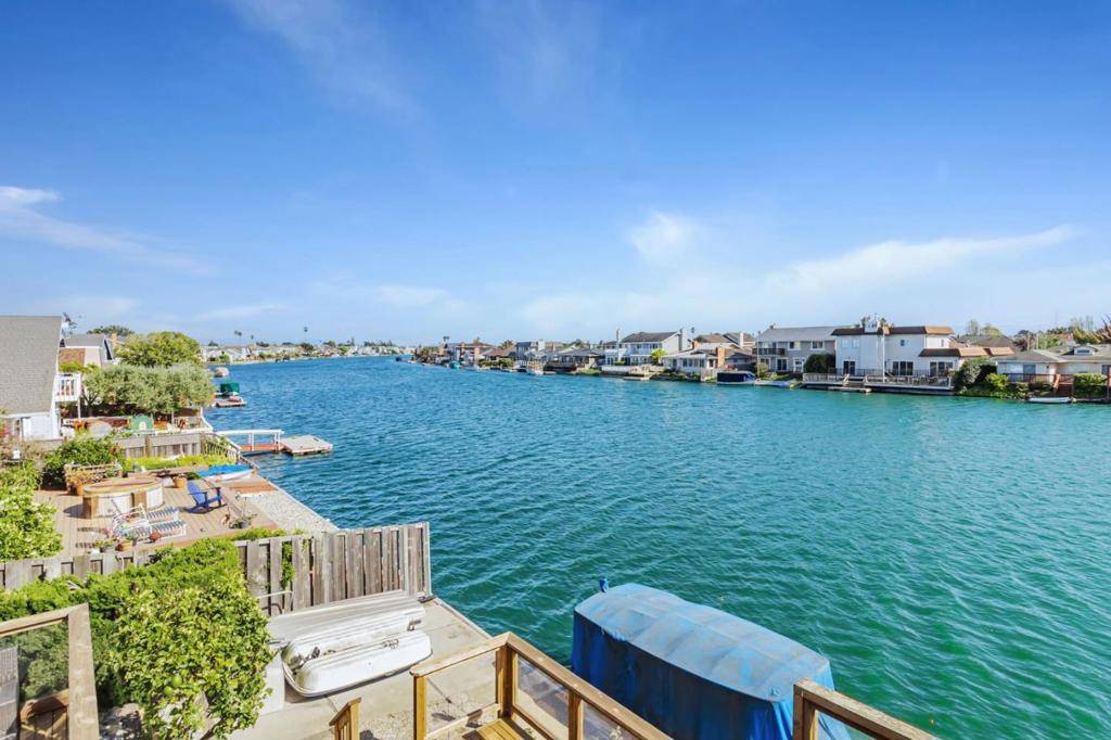 Foster City, CA 94404,257 Surfbird