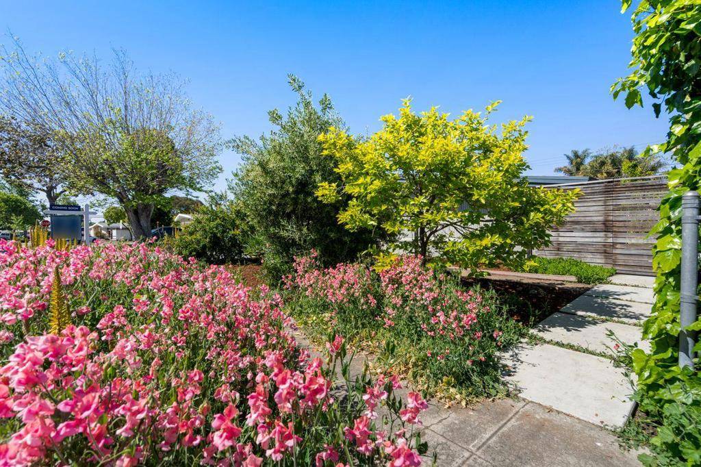 Sunnyvale, CA 94089,1213 Torrance AVE